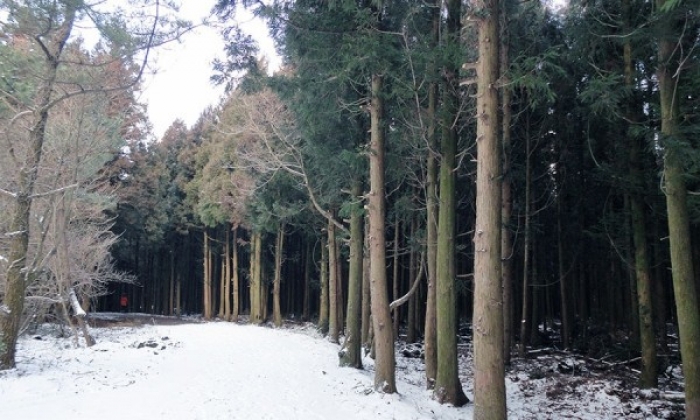 <span class='galleria_span'> </span><br />